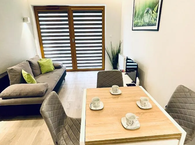 Modern Silver Apartment Краків, Польща
