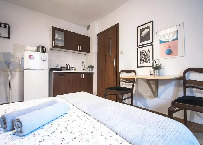 Lion Apartments - Your Own Apartment In Cracow Kraków, Polska