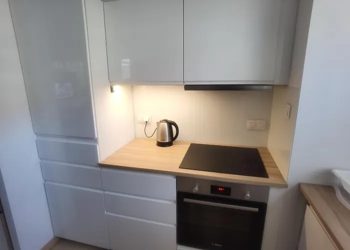 Novum Apartment In The City Center Краків, Польща