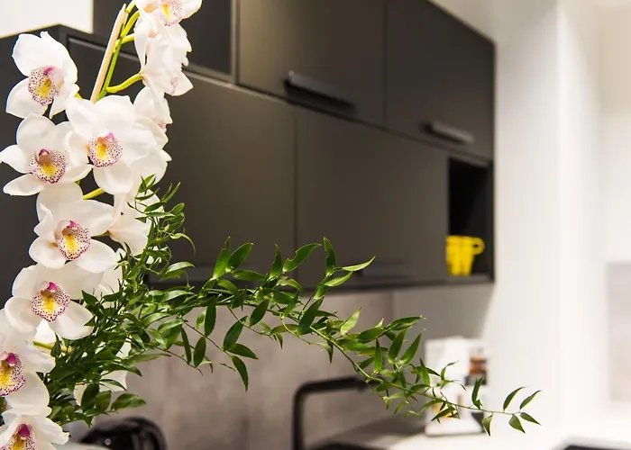Bed&Bath Luxury Apartments Краків, Польща