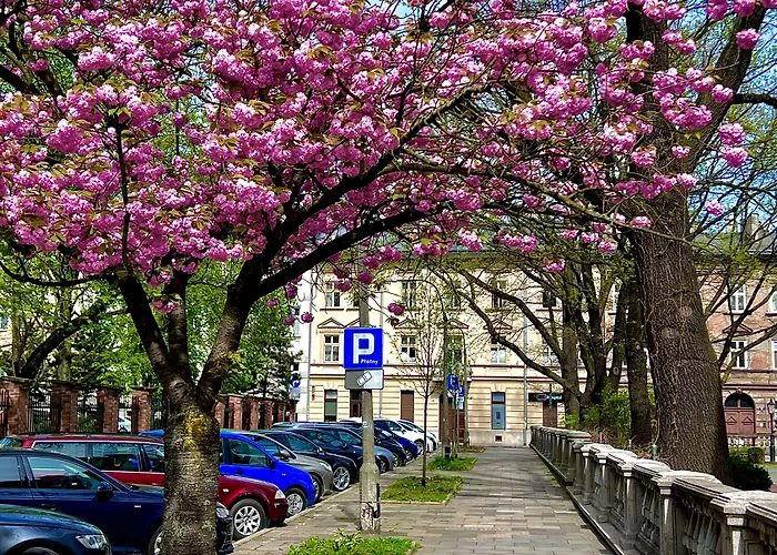 Krakow Central Apartments
